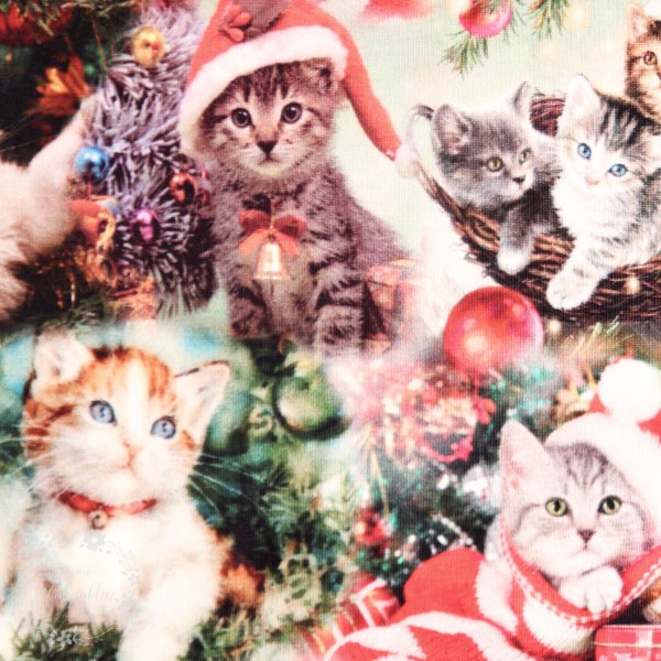Bomuldsjersey "Christmas Cats"