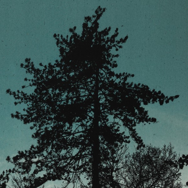 100 cm French Terry "Wyld Forest petrol" by Thorsten Berger