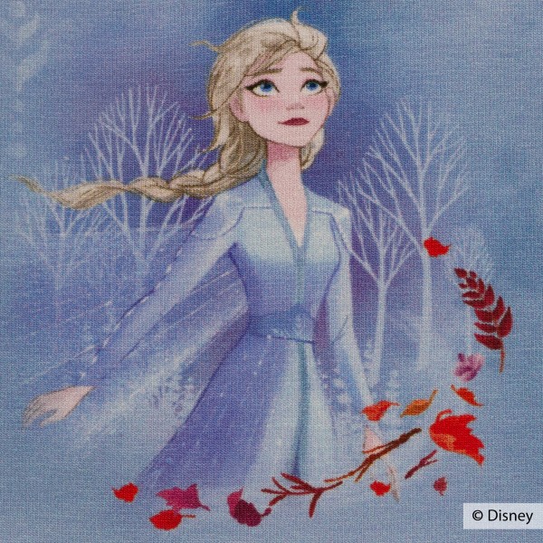 Disney-Jersey "Frozen 2 - Spirit of nature"