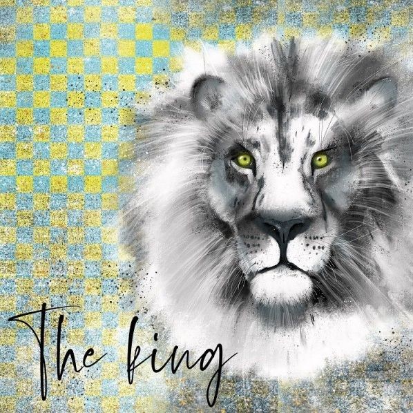 80 cm BIO-Jersey "The king"