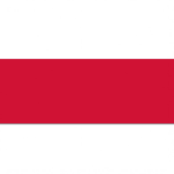 50 mm Polyester satin bånd rød