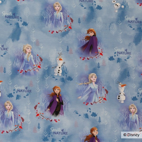 Disney-Jersey "Frozen 2 - Spirit of nature"