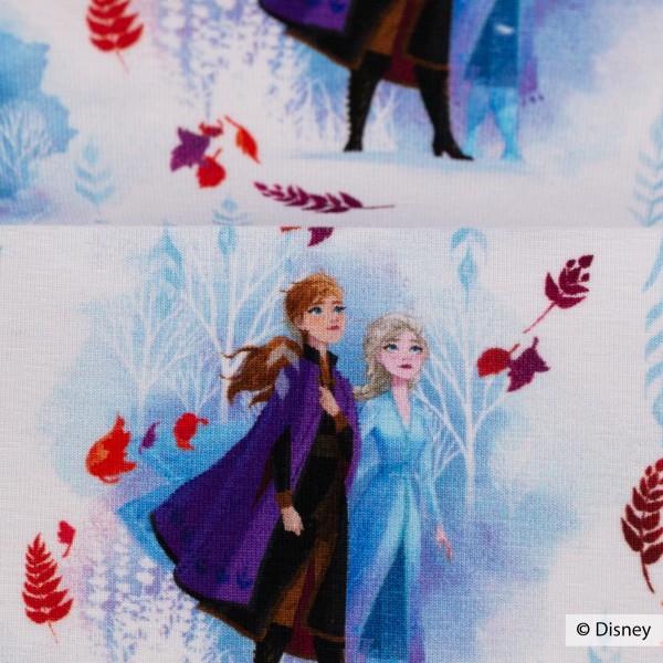 Disney-Jersey "Frozen 2 - Elsa og Anna" blå