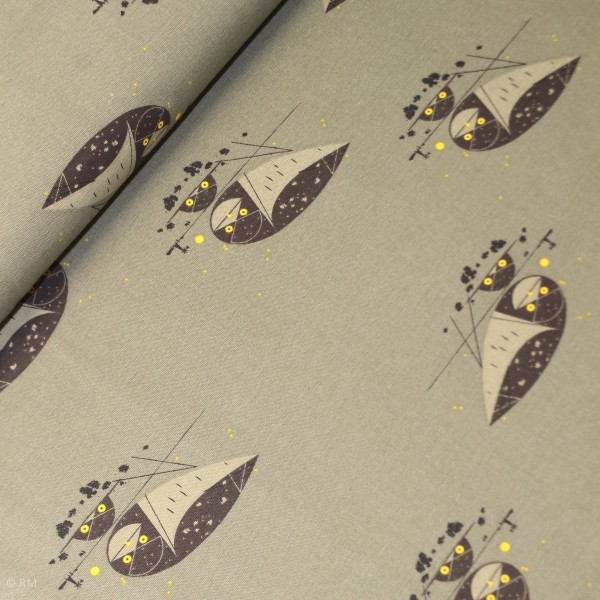 BIO-Canvas Birch “Western birds“ dch51 fra...