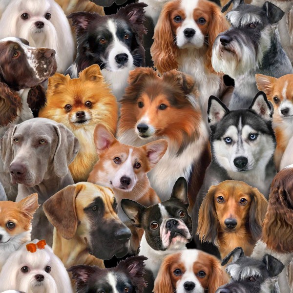 Bomuld "Dog Breeds black" by Howard Robinson
