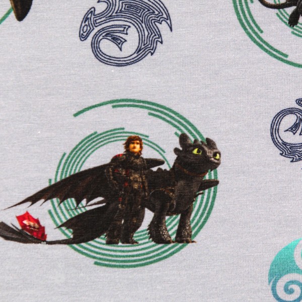 Bomuldsjersey "How to train your Dragon" fra The Hidden World