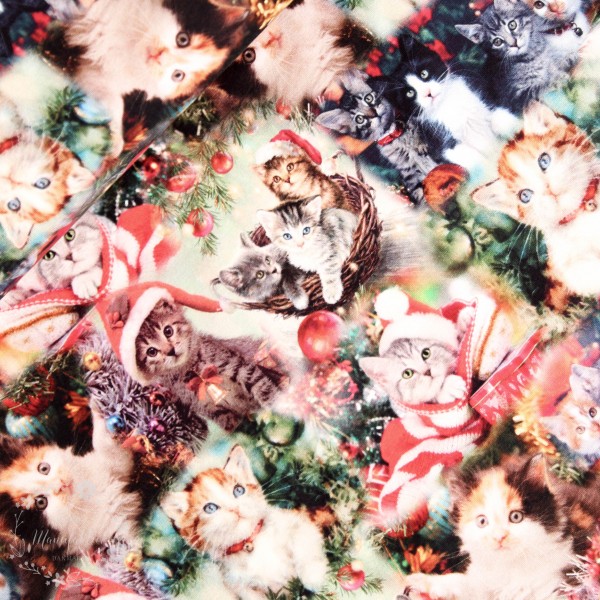 Bomuldsjersey "Christmas Cats"