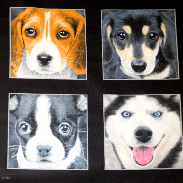 Bomuld “Adorable Pets“ by Howard Robinson