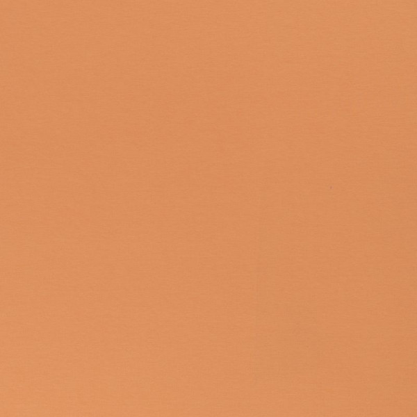 1m French Terry "Maike" light coral 421