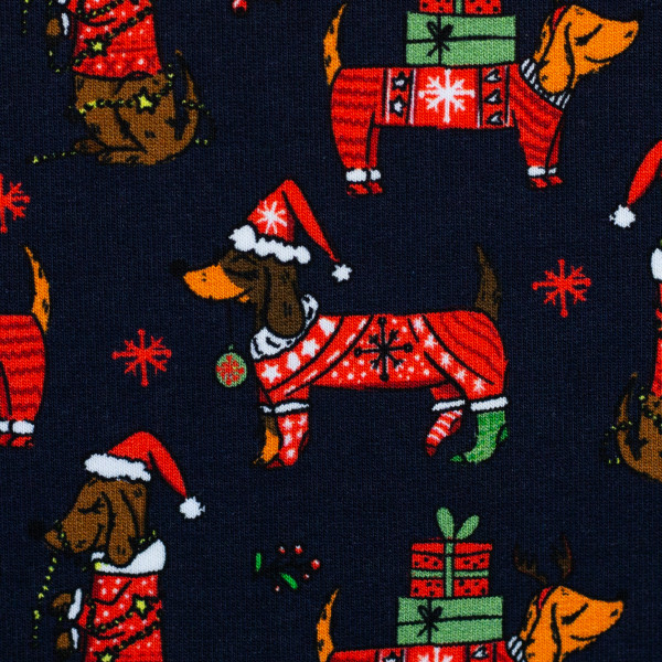 Isoli "Holly" Dachshund