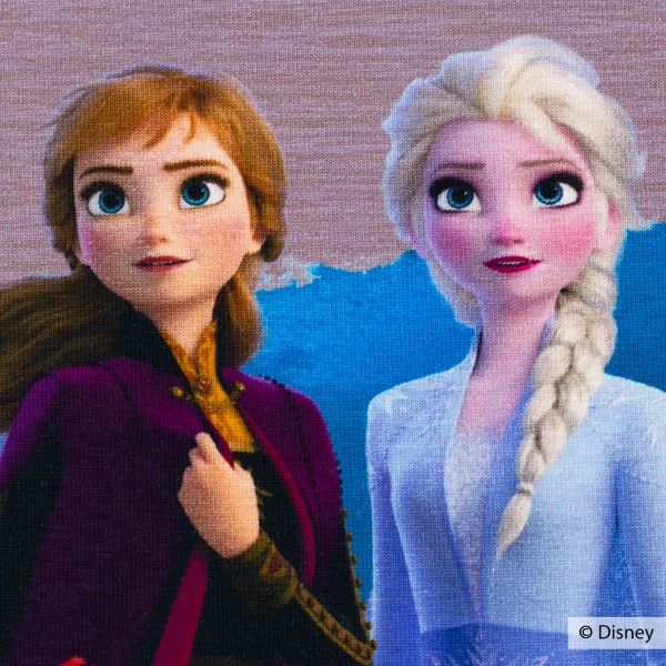 65 cm Disney-Panel "Frozen 2 - Anna og Elsa" 301436