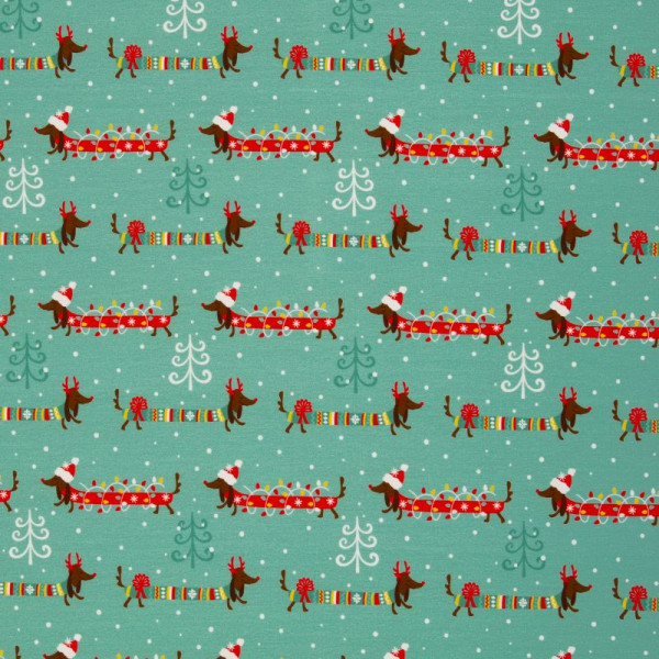 Isoli "Holly" Gravhund