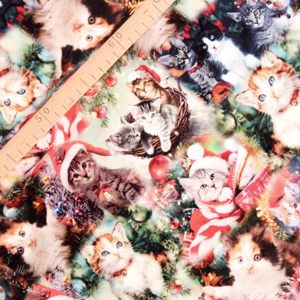 Bomuldsjersey "Christmas Cats"