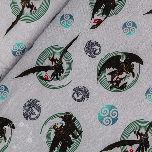 Bomuldsjersey "How to train your Dragon" fra The Hidden World