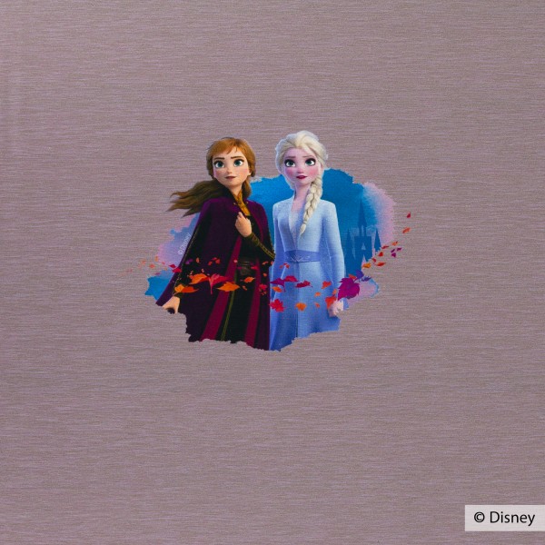 65 cm Disney-Panel "Frozen 2 - Anna og Elsa" 301436