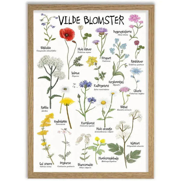 Plakat "Vilde Blomster" DIN A3