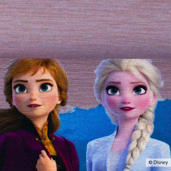 65 cm Disney-Panel "Frozen 2 - Anna og Elsa" 301436