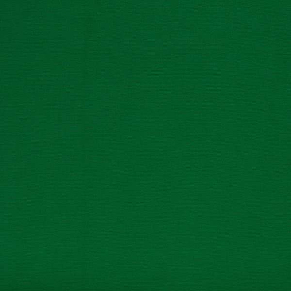 1m Bomuldsjersey "Vanessa" green 365