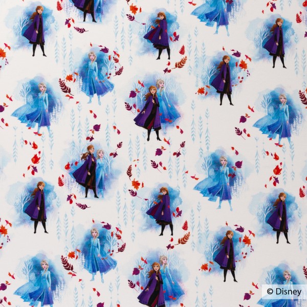 Disney-Jersey "Frozen 2 - Elsa og Anna" blå