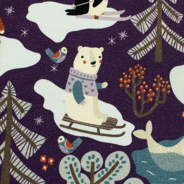 French Terry "Polar Playtime"