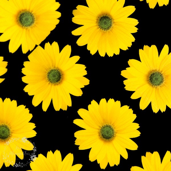 Bomuldsjersey sort med gule blomster