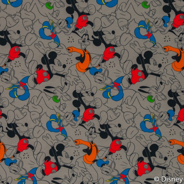 Isoli Disney "Mickey and friends"