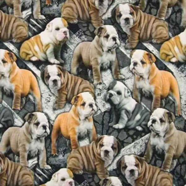 Baumwolljersey "Englische Bulldogge"