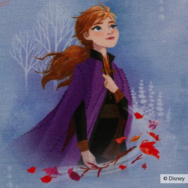 Disney-Jersey "Frozen 2 - Spirit of nature"