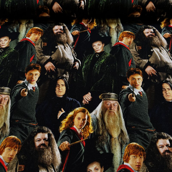 Bomuldsjersey "Wizarding World"