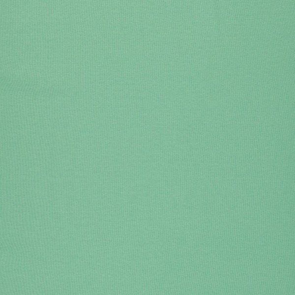 1m French Terry "Maike" pastel mint green 260