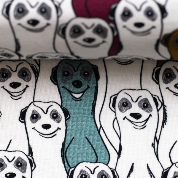 Bomuldsjersey "Jesse" meerkats