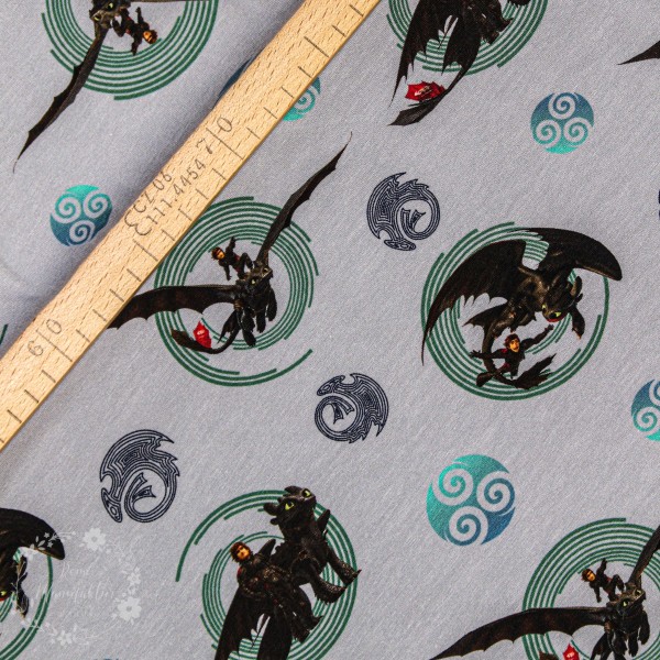 Bomuldsjersey "How to train your Dragon" fra The Hidden World