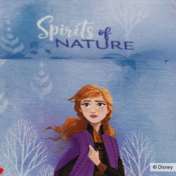 Disney-Jersey "Frozen 2 - Spirit of nature"
