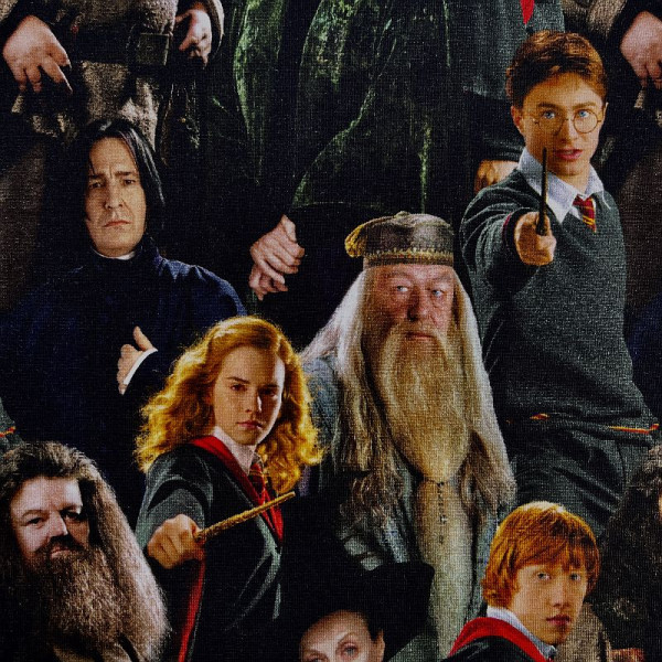 Bomuldsjersey "Wizarding World"