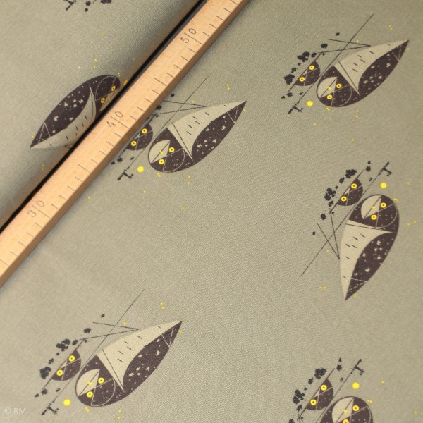 BIO-Canvas Birch “Western birds“ dch51 fra Birch Fabrics